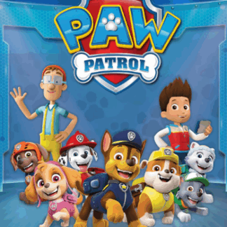 Speelgoed pakket Paw Patrol assortiment
