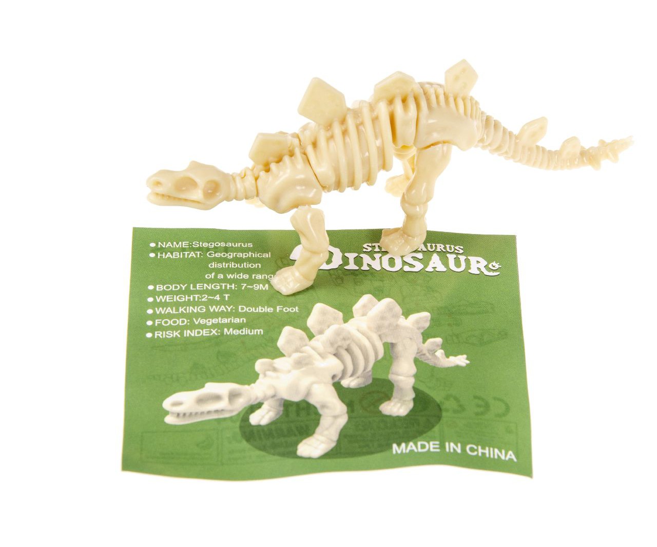 Dino skelet 3d puzzel | Bellus