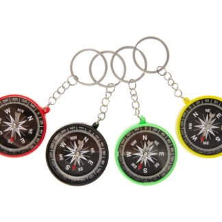 Kleurrijk kompas sleutelhanger